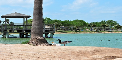 Edinburg Municipal Park